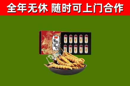 宁安市回收冬虫夏草价格