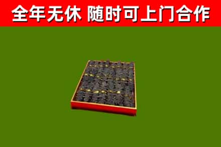宁安市回收海参